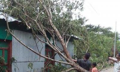 গাছ পড়ে যান চলাচল বন্ধ, বিদ্যুৎ সংযোগ বিচ্ছিন্ন