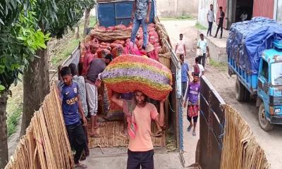 হিলি স্থলবন্দর দিয়ে কাঁচা মরিচ আমদানি শুরু