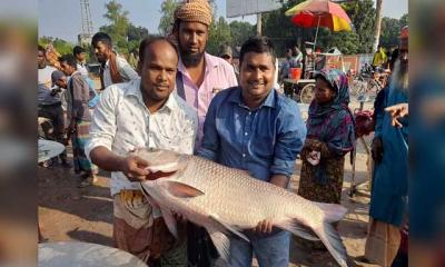 জেলের জালে ২১ কেজির কাতলা, ২৮ হাজারে বিক্রি