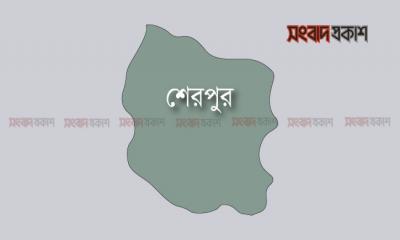 নানাবাড়ি বেড়াতে এসে নদীতে ডুবে ভাইবোনের মৃত্যু