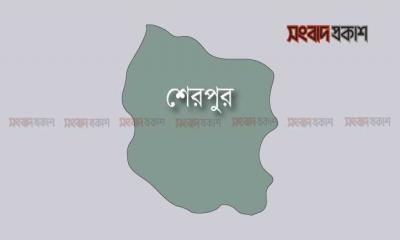 শেরপুরে পানিতে ডুবে কলেজছাত্রের মৃত্যু