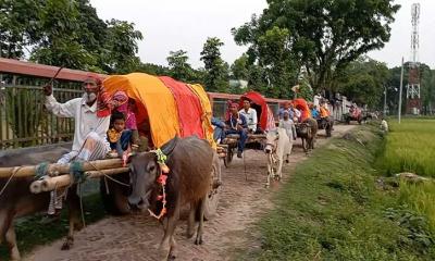 বাবার ইচ্ছা পূরণে গরু-মহিষের গাড়িতে চড়ে বিয়ে করলেন যুবক