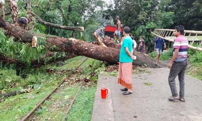 নোয়াখালীতে রেললাইনে গাছ পড়ে ট্রেন চলাচল বন্ধ