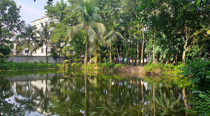 একটি নারকেলগাছ নিয়ে শেরপুরে হুলস্থুল কাণ্ড