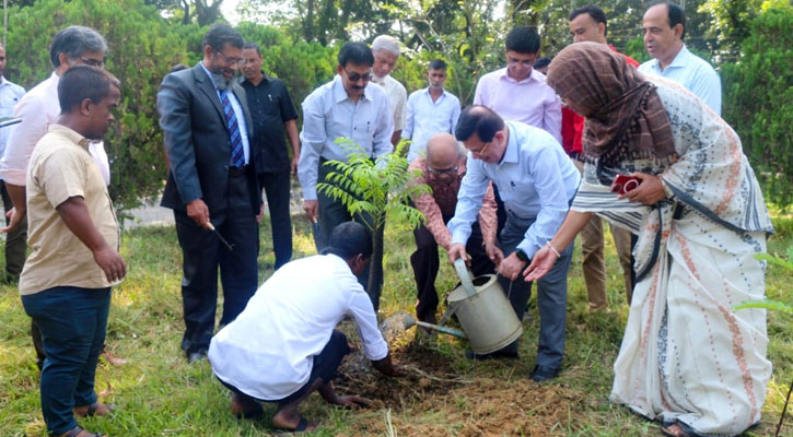 শেখ রাসেলের জন্মদিনে শাবিপ্রবিতে বৃক্ষরোপণ