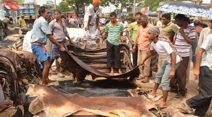 ঈদের প্রথম দিনে সাড়ে ৪ লাখ চামড়া সংগ্রহ