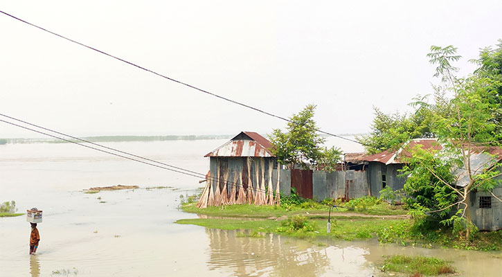 যমুনার পানি বৃদ্ধিতে তলিয়ে যাচ্ছে ফসলি জমি