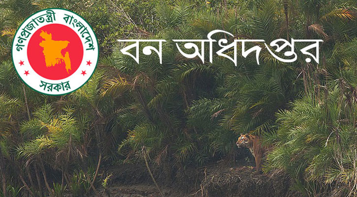 এইচএসসি পাসে বন অধিদপ্তরে ৩২ জনের চাকরি