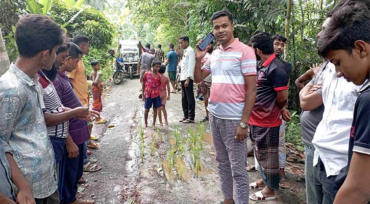 নির্মাণের দুদিন পরই রাস্তার বেহাল দশা, ধান রোপণ করে প্রতিবাদ