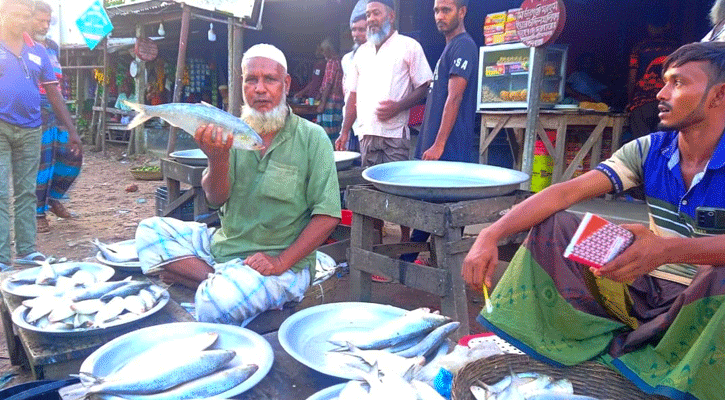 বরগুনায় নদীর তীরেই বিক্রি হচ্ছে তাজা ইলিশ