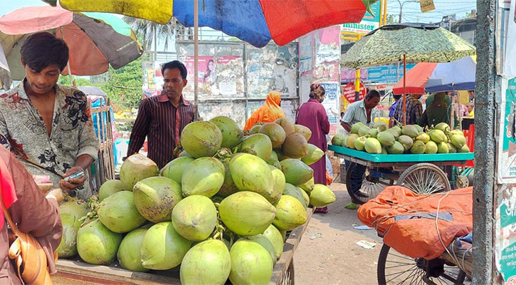 ডাব কেনাবেচায় রাখতে হবে রসিদ