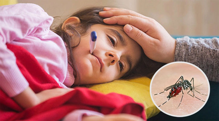 কোন লক্ষণগুলো দেখা দিলে বুঝবেন ডেঙ্গু জ্বর