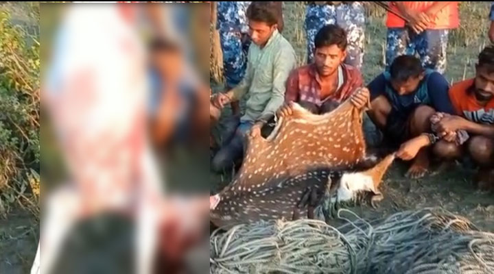 হাতিয়ায় ৬ হরিণ শিকারি আটক