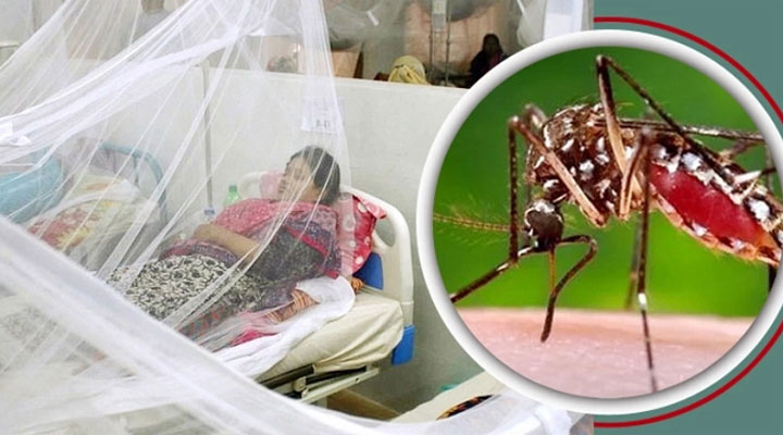 ডেঙ্গুতে আরও ১১ জনের মৃত্যু
