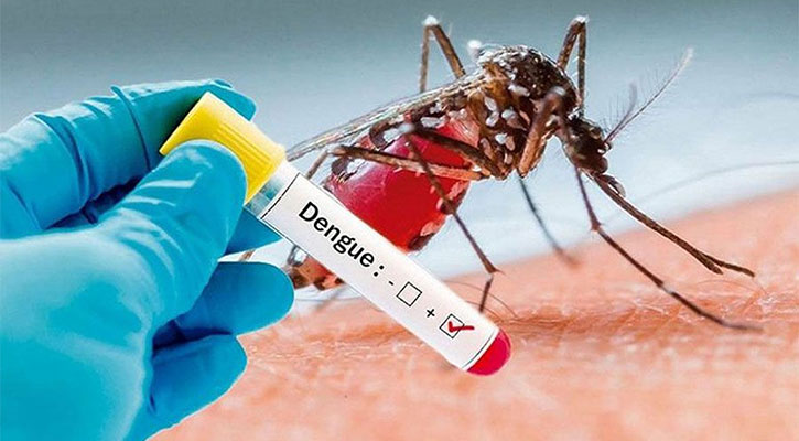 ডেঙ্গুতে আরও ১৭ মৃত্যু, শনাক্ত ২৩০৮