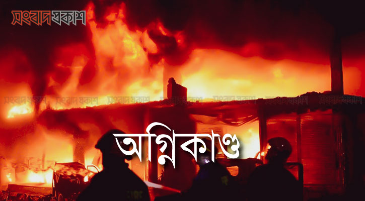 আগুনে পুড়ে বৃদ্ধার মৃত্যু