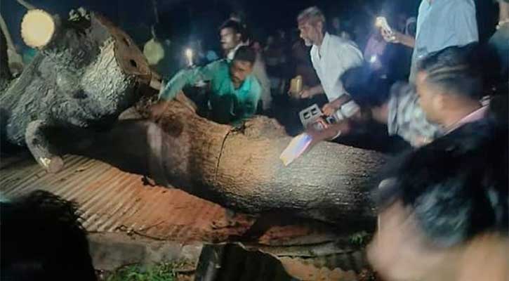 মহারাষ্ট্রে ঝড়ে গাছ পড়ে ৭ পুণ্যার্থী নিহত