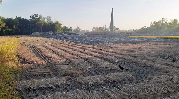 অবৈধ ইটভাটায় বাড়ছে স্বাস্থ্যঝুঁকি