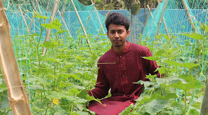 মালচিং পদ্ধতিতে শসা চাষে কলেজছাত্রের সাফল্য