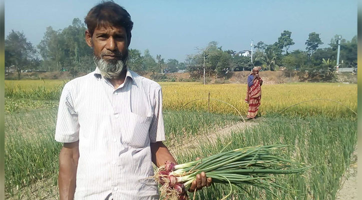 গ্রীষ্মকালীন পেঁয়াজ চাষে আগ্রহ বাড়ছে নওগাঁয়