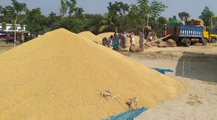 নওগাঁয় কমেছে সুগন্ধি জাতের ধানের দাম