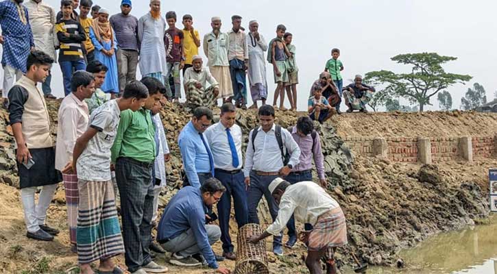 কাঁকড়া চাষে নতুন পদ্ধতি উদ্ভাবন নোবিপ্রবির