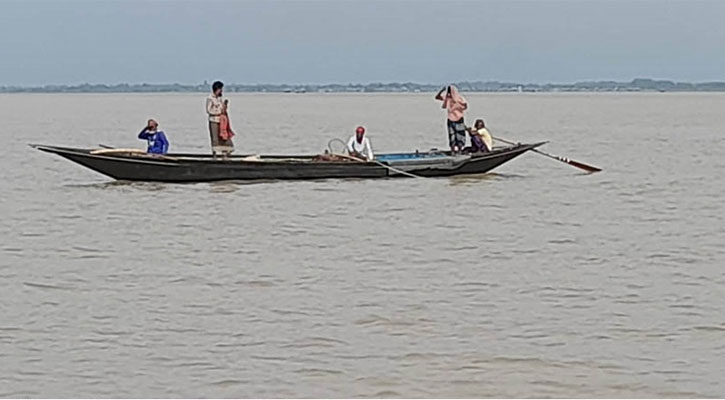 নিষেধাজ্ঞার মধ্যেই পদ্মায় চলছে ইলিশ নিধন