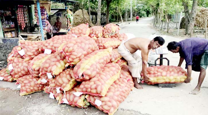 প্রতি মণ আম বিক্রি হচ্ছে ১০০ টাকায়