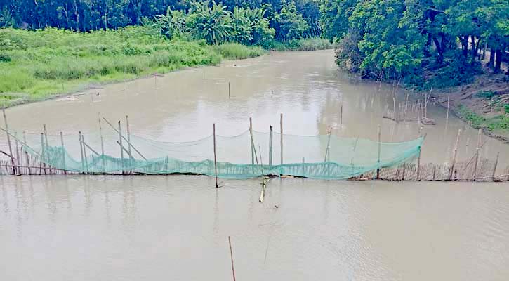 নদীতে বাঁধ দিয়ে মা মাছ ও রেনু পোনা নিধন