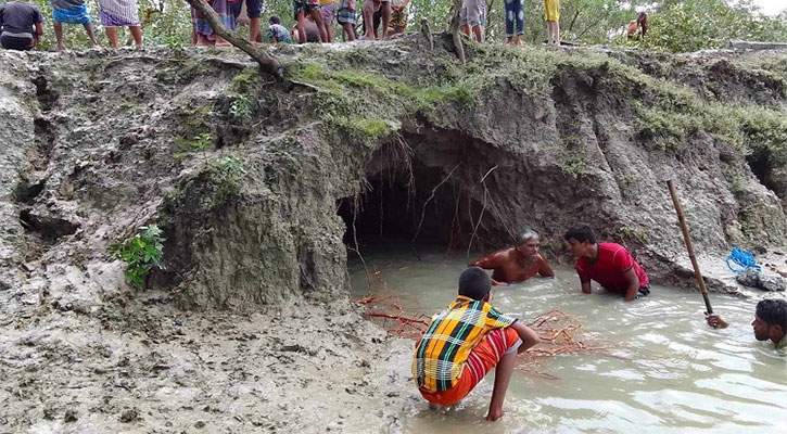 বাক্সকলে ঝুঁকিতে উপকূল রক্ষা বাঁধ