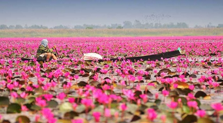 শাপলার রাজ্য-সাতলা গ্রাম