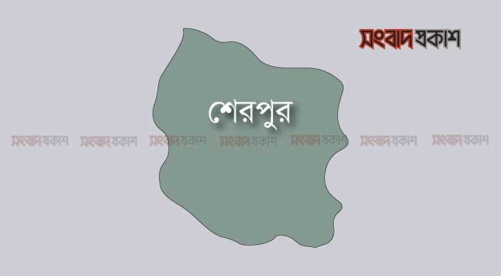 শেরপুরে পানিতে ডুবে কলেজছাত্রের মৃত্যু