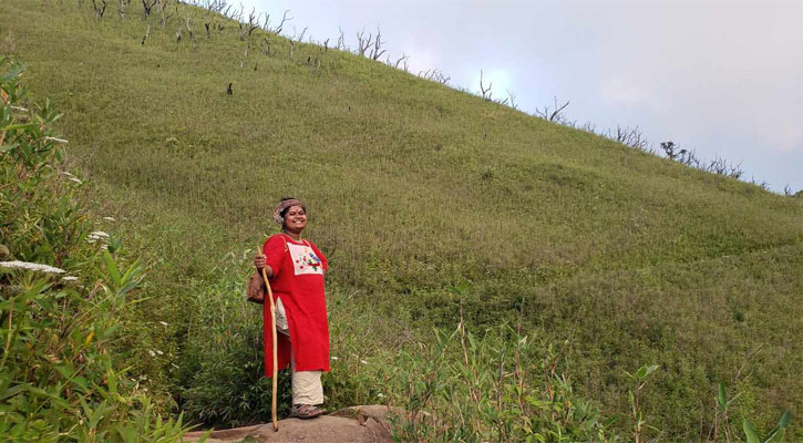 একটি মায়াময় সবুজ উপত্যকার গল্প