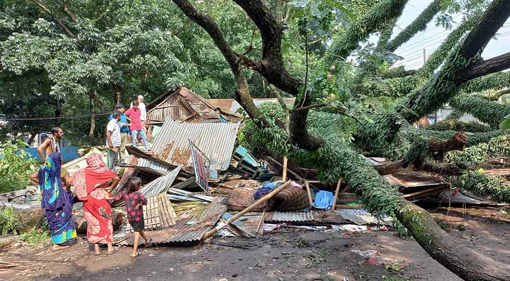 সিত্রাংয়ের তাণ্ডবে মৃত্যু বেড়ে ২৫