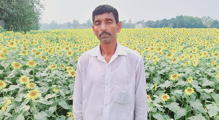 সূর্যমুখী চাষে সোরহাবের সাফল্য