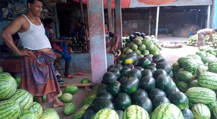 নওগাঁর বাজারে আগাম তরমুজ, দাম চড়া